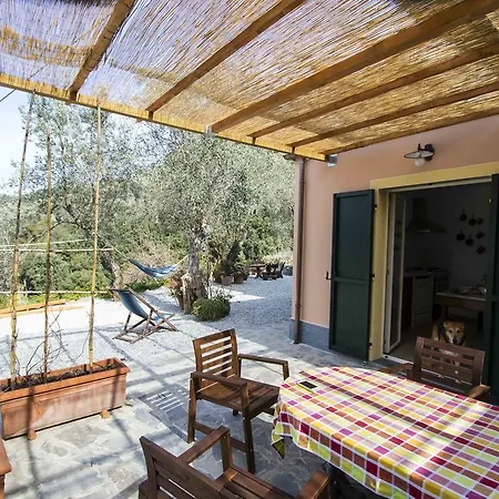 La Casa Di Terry *
